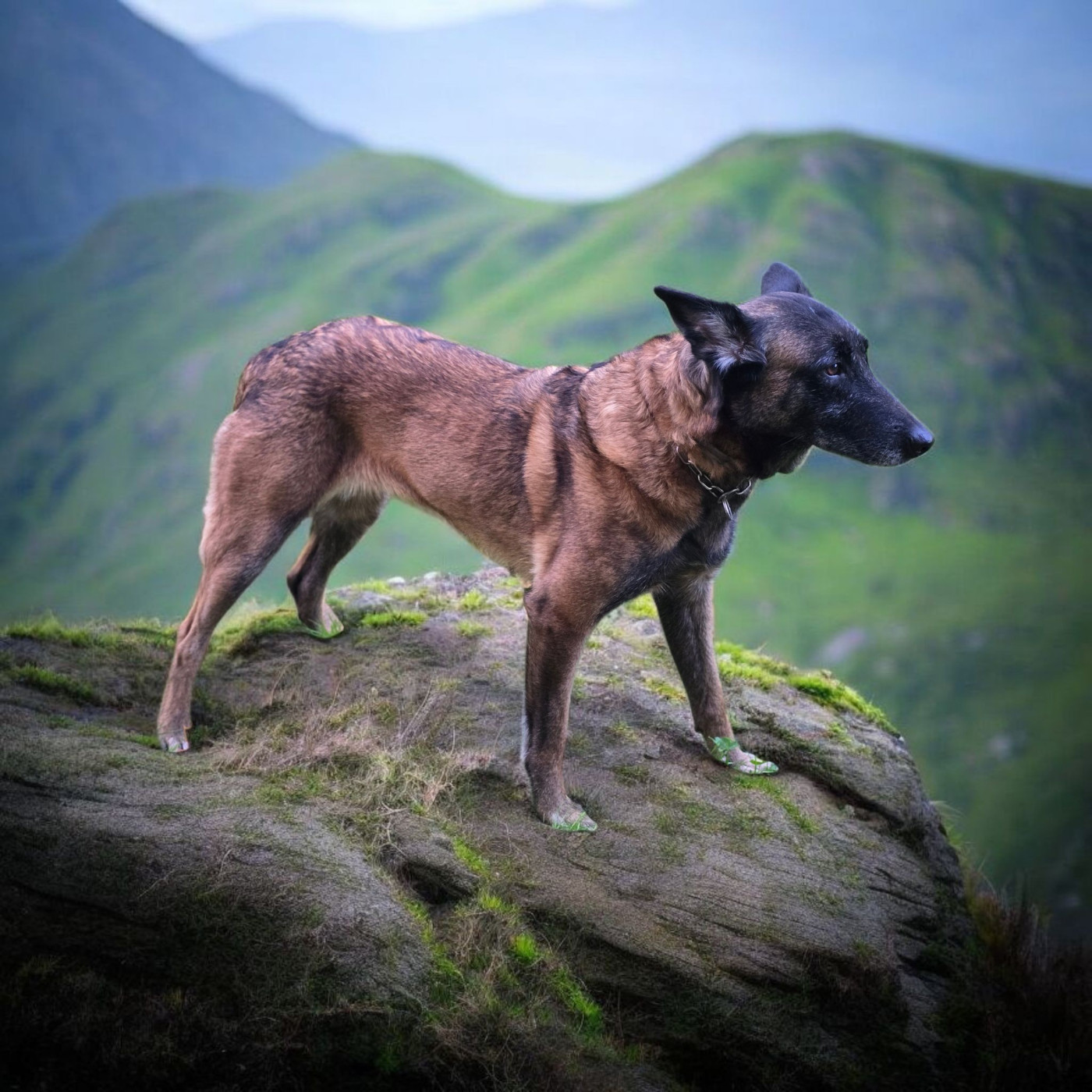 Rafale dit hk de l'entre des ghost riders