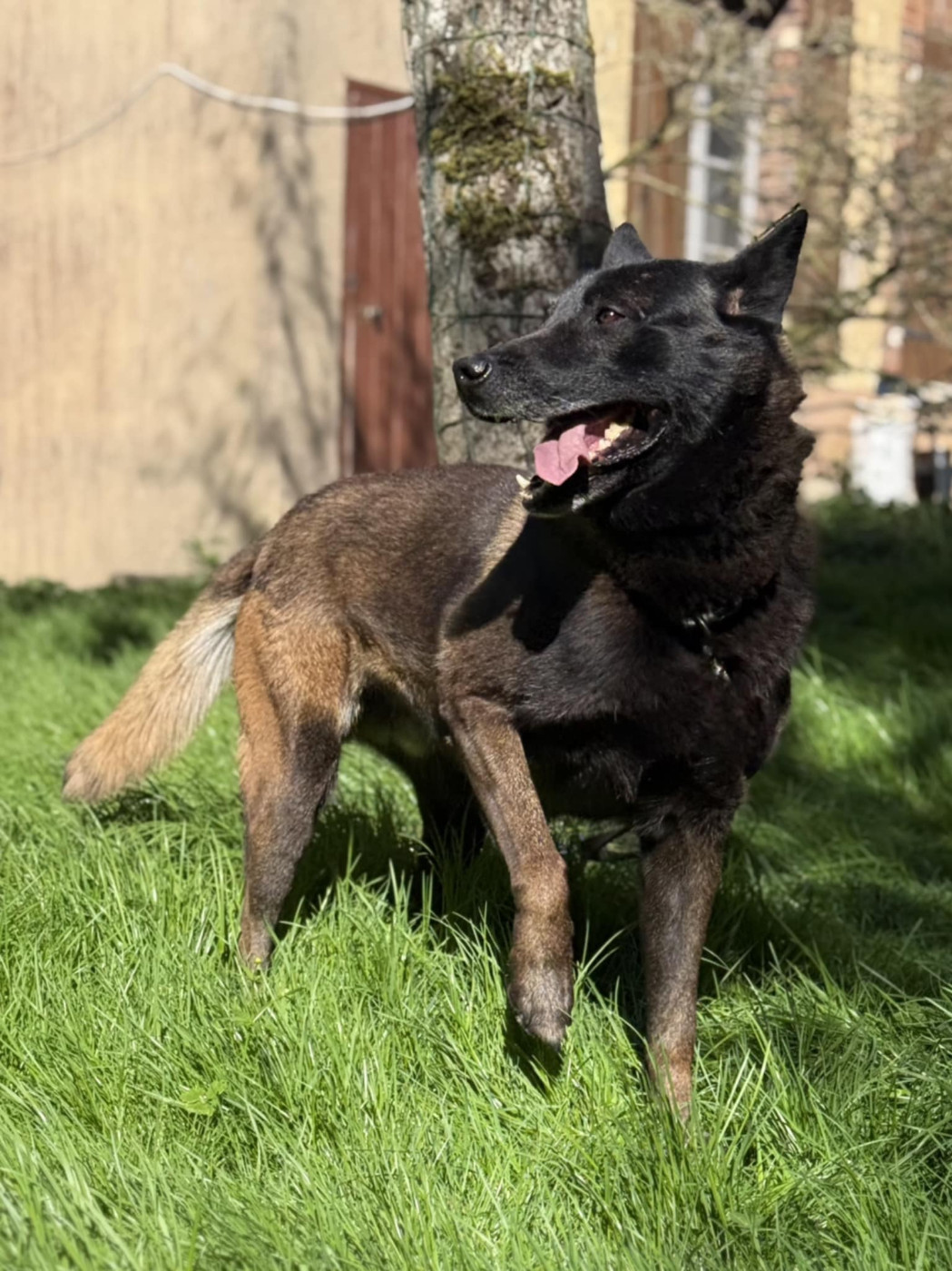 Ploom de la forêt de l'éspérance De La Forêt De L'espérance